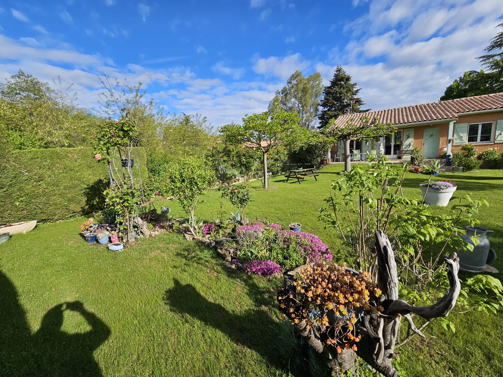 WhatsApp Image 2026 03 22 at 19.04.11 (10)